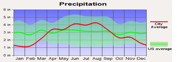 Average Precipitation graphic